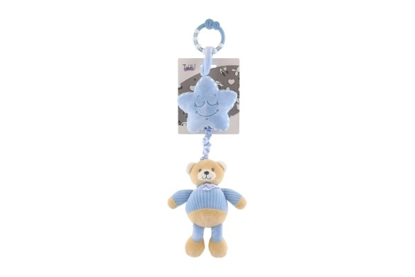Muziekdoos pluchen teddybeer
