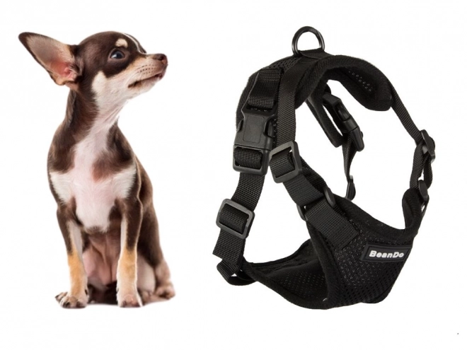 Leichter bequemer Hundegeschirr für kleine Hunde
