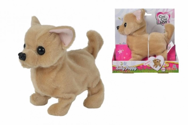 CCL Chihuahua chiot