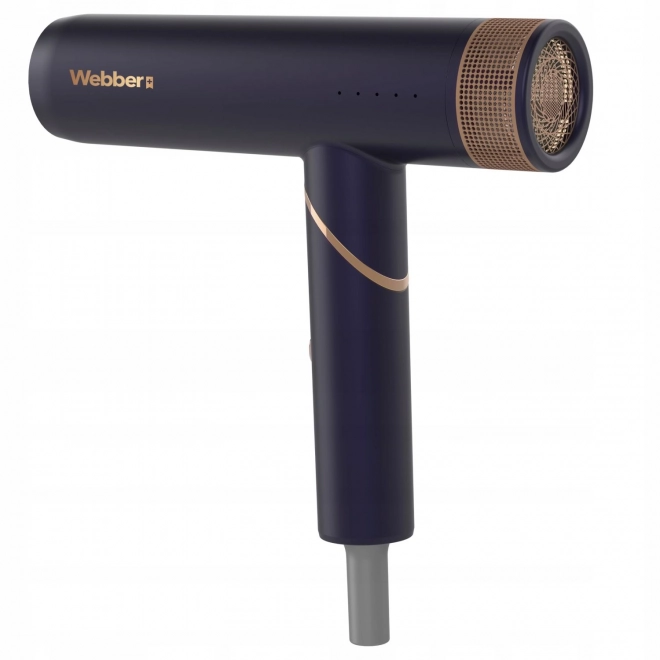 Föhn voor haar 2in1 met ionisatie en regeling STELLA WEBBER