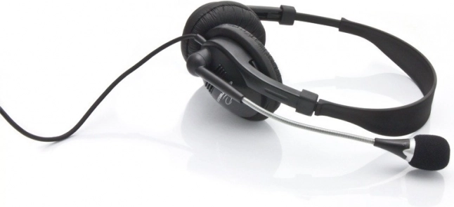Stereo headphones with microphone and volume control
