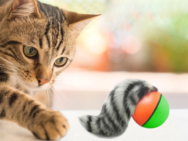 Ontsnappingsspeeltje voor katten en honden met bal en fret