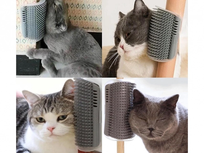 Hoekkam Borstel voor Katten met Catnip