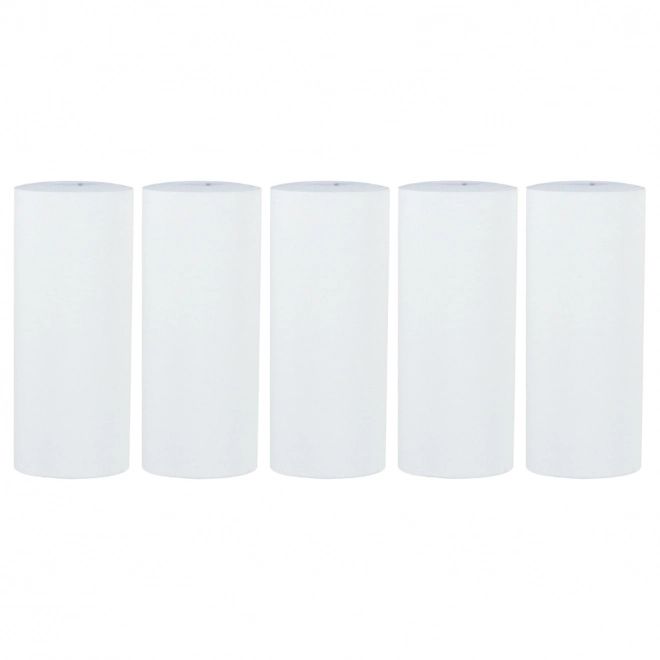 Rol thermisch papier voor mini printer 5,7 cmx4,5 m 5 stuks