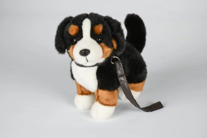 Bernese Mountain Dog Plush Toy with Leash