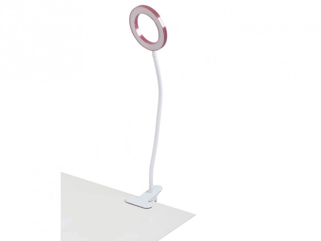 Wireless LED Desk Lamp with Organizer