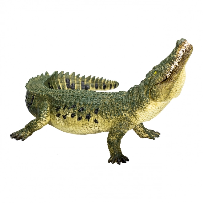 Realistische Krokodil met Beweegbare Kaak