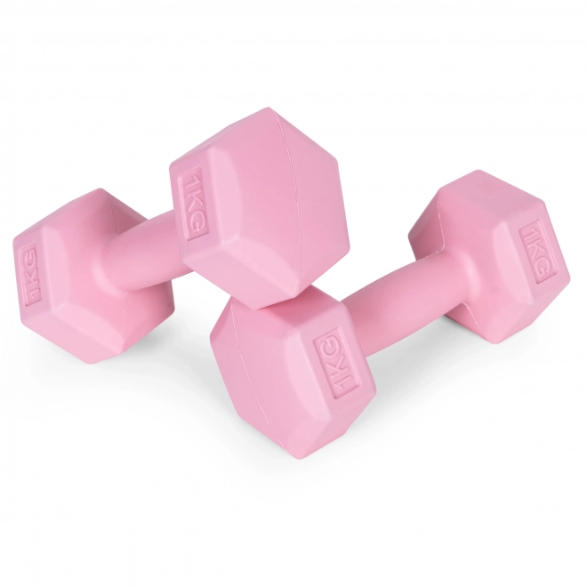Haltères roses 2x1 kg ModernHome