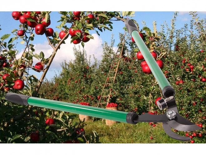 Lange aambeeld tuinschaar voor takken