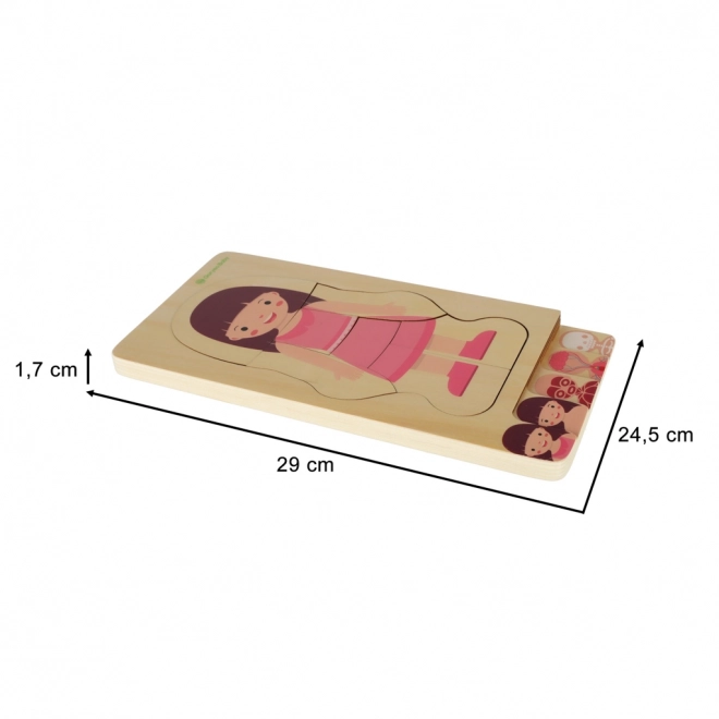 Schichtpuzzle Körperaufbau Montessori für Mädchen