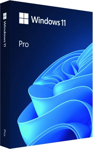 Windows 11 Pro 64 bits Clé USB