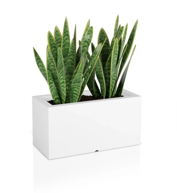 Monumo Lungo witte bloempot