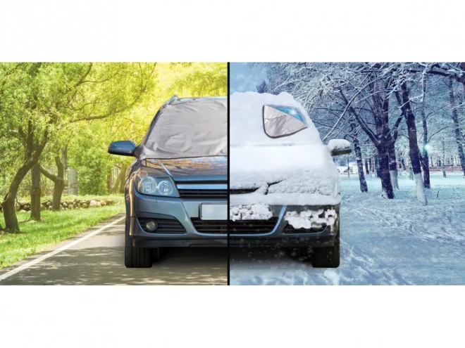Mat tegen vorst voor de voorruit van de auto