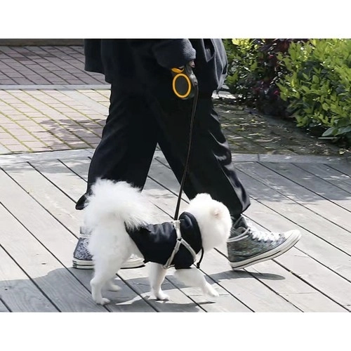 Automatische Hundeleine 8m Für Große Hunde