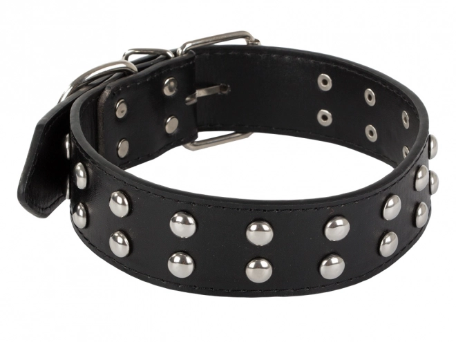 Verstelbare hondenhalsband van ecologisch leer met metalen knoppen