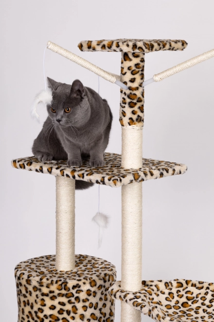 Arbre à chat, maison, arbre, lit, 138cm xl, Panther