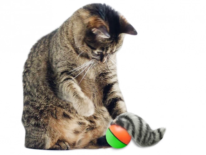 Ontsnappingsspeeltje voor katten en honden met bal en fret