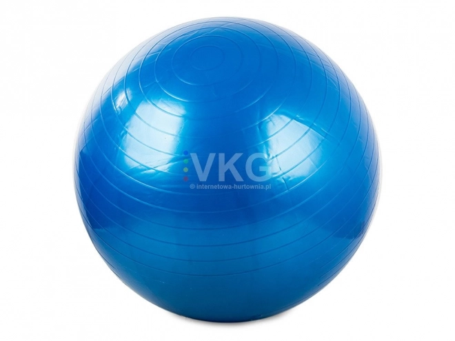 Gymnastiekbal Fitness 65 cm met pomp