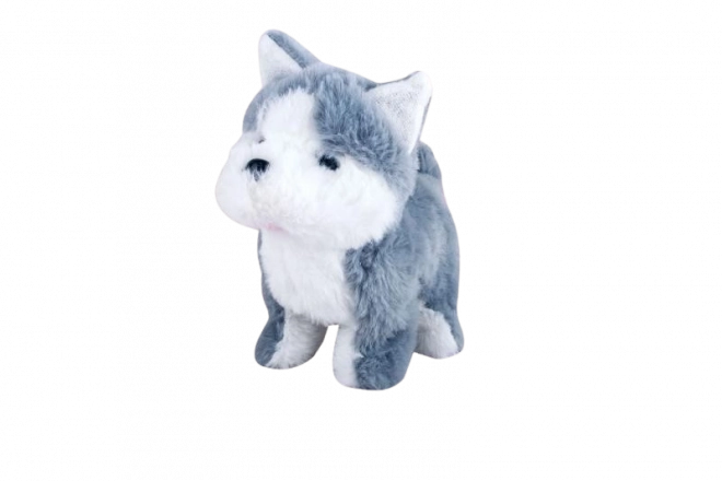 Batterij-aangedreven husky