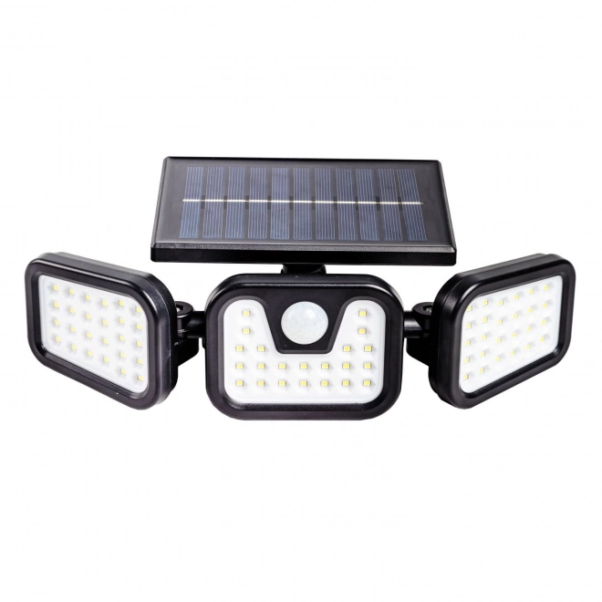 Solar Garden LED Lamp with Motion Sensor