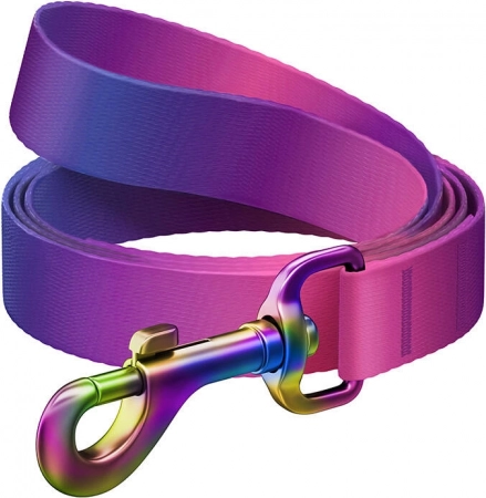 Waudog laisse dégradée pour chiens, violette