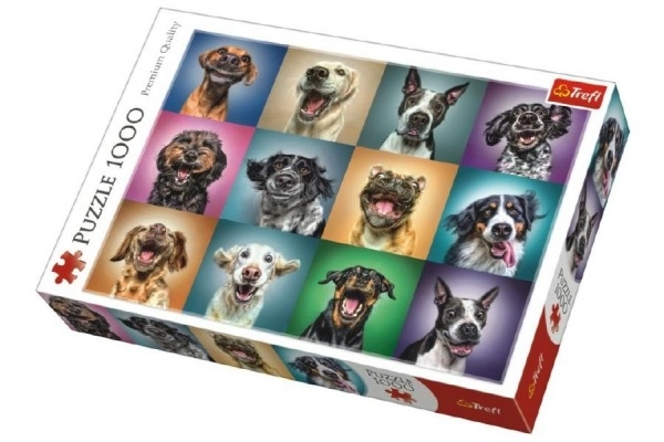 Funny Dog Portraits Puzzle – 1000 Pieces