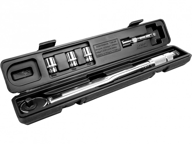 Torque Wrench Set with Case and Sockets