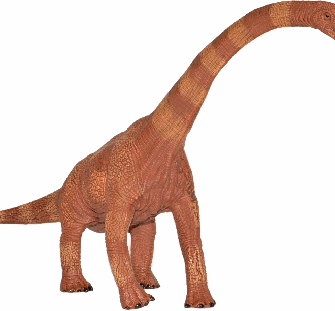 Figurine de dinosaure Brachiosaurus 30 cm