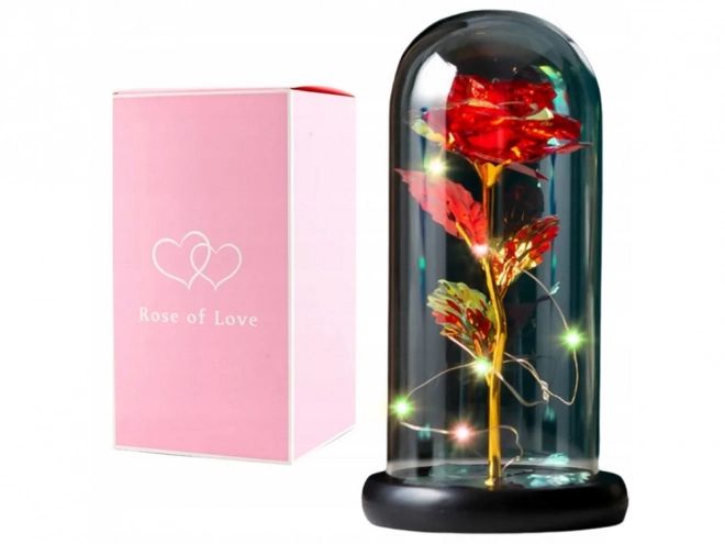 Rose éternelle sous un éclairage en verre