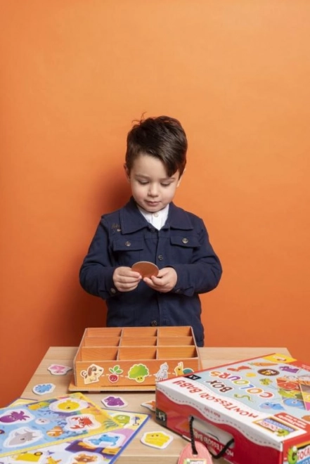 Montessori Color Discovery Box