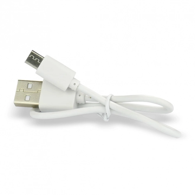 Oplaadbare accu EverActive 16340 700 mAh met micro USB