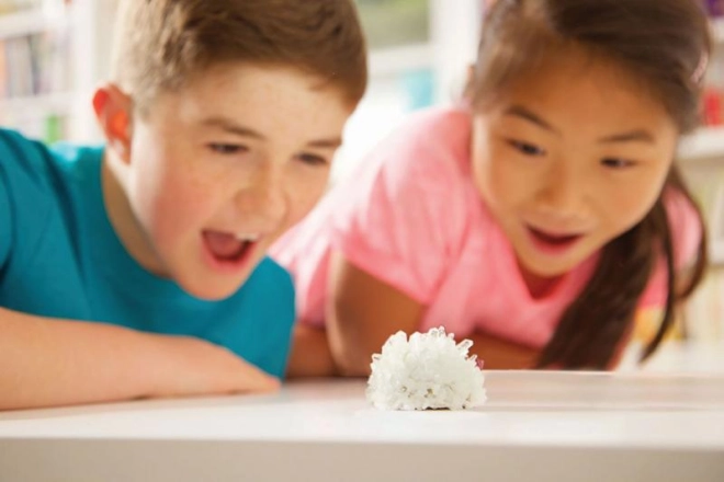 Apprendre en s’amusant pour les petits scientifiques