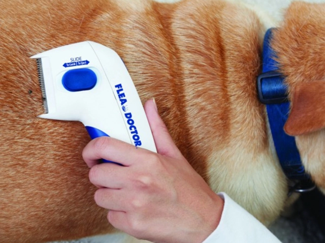 Elektrische vlooienkam voor honden en katten