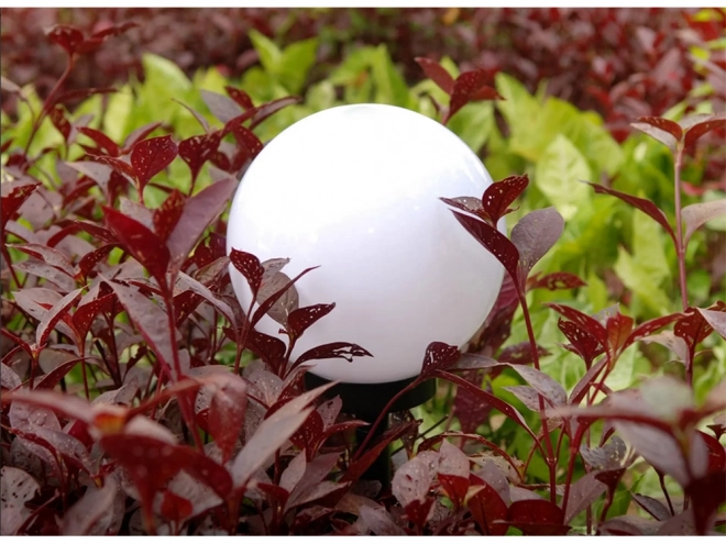 Solar-Gartenlampen Rund Weiß 4er Set