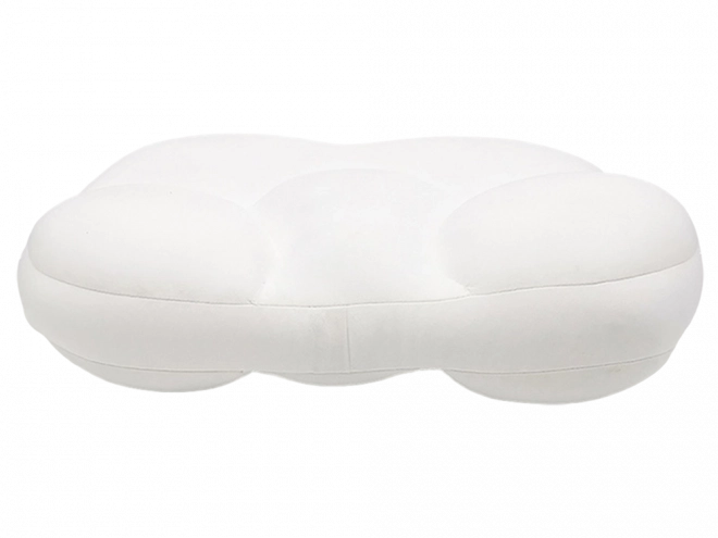 Orthopedic Anti-Allergy Comfortable Pillow