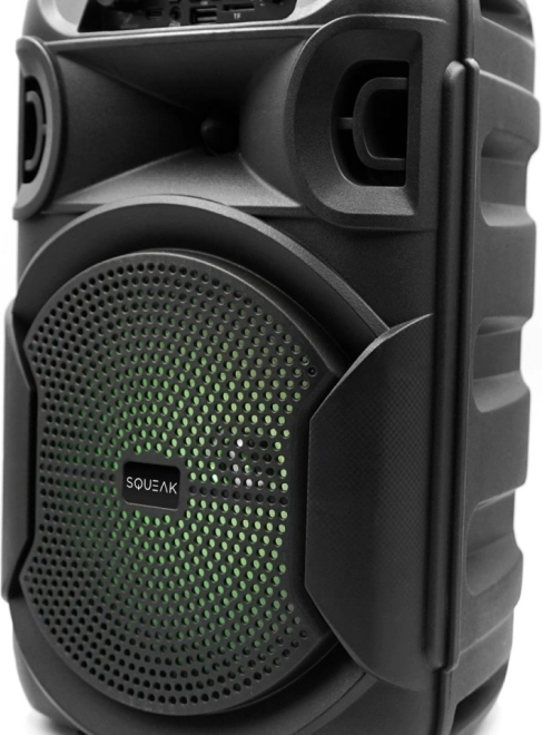 Bluetooth speaker Squeak PulseTower with karaoke, 1000 W