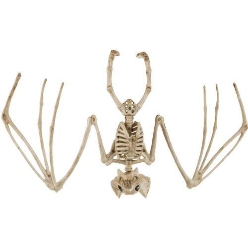 Squelette de chauve-souris - décoration 30 cm Malatec