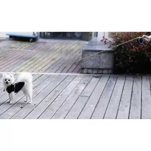 Automatische Hundeleine 5m für Hunde bis 15kg