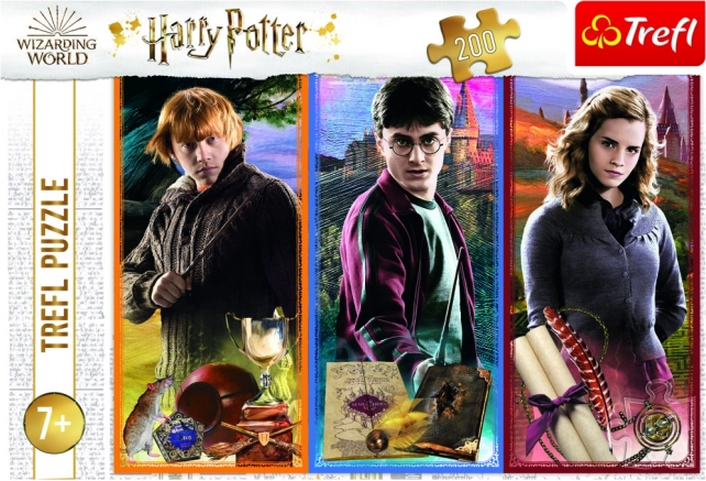 Official HARRY POTTER artwork by Trefl