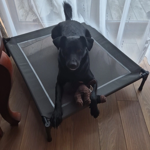 Canopied Dog Bed for XXL Dogs Purlov