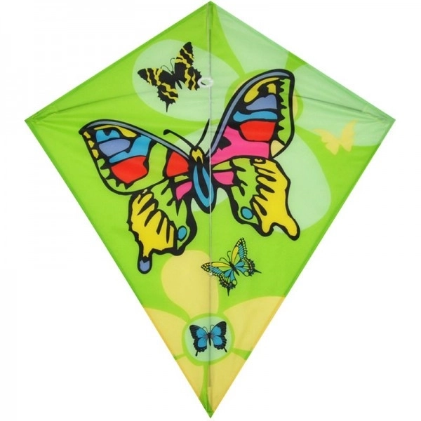 Cerf-volant en nylon