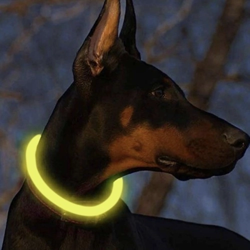 LED-Leuchthalsband für Haustiere mit USB-Ladung und Längenverstellung