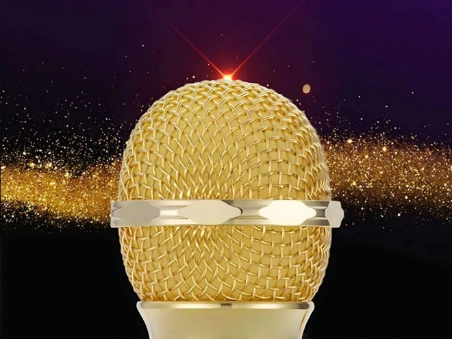 Draadloze bluetooth karaoke microfoon