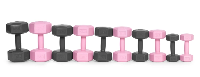 Haltères roses 2x1 kg ModernHome