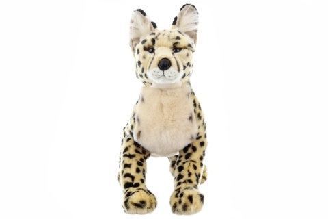 Pluche savannekat 50 cm
