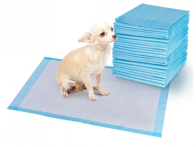 Vlonder voor honden die leren plassen 45x60 50 stuks