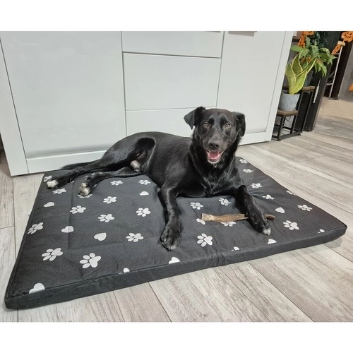 Waterproof Dog Beds for XXL Dogs