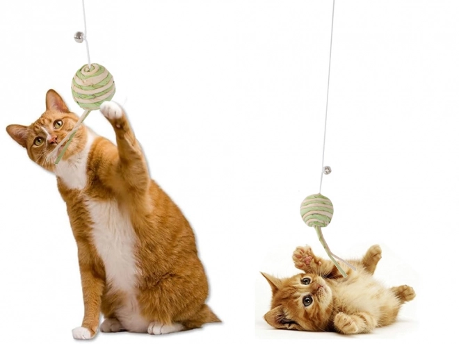 Katzenspielzeug Angel mit Ball und Rassel