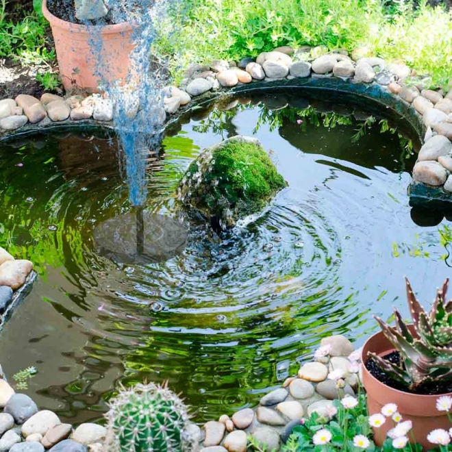 Floating Solar Garden Fountain