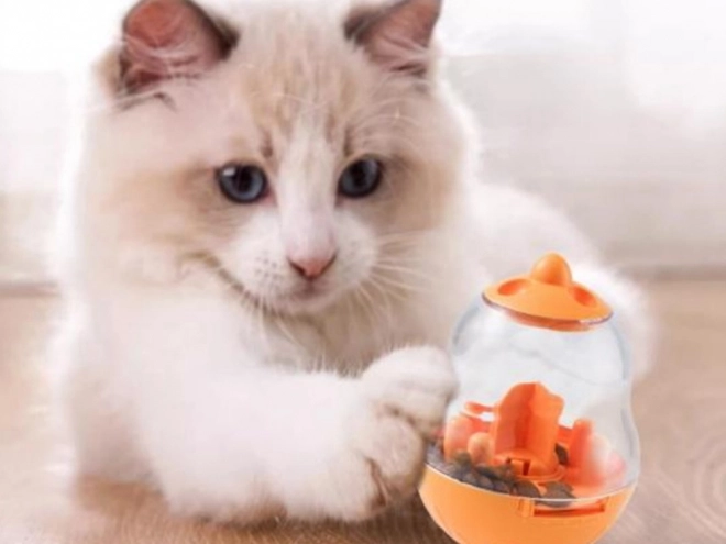 Interactieve snackdispenser voor honden